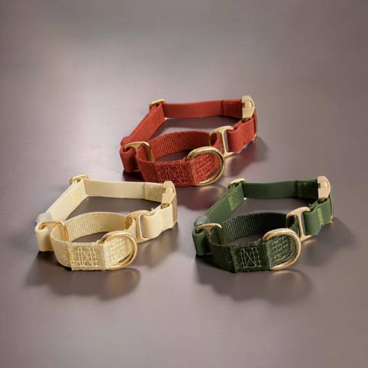 Flow Martingale Collar