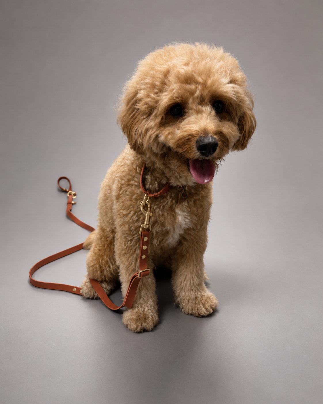 Flow Martingale Collar