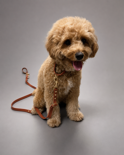 Flow Martingale Collar