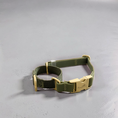 Flow Martingale Collar