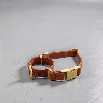 Flow Martingale Collar