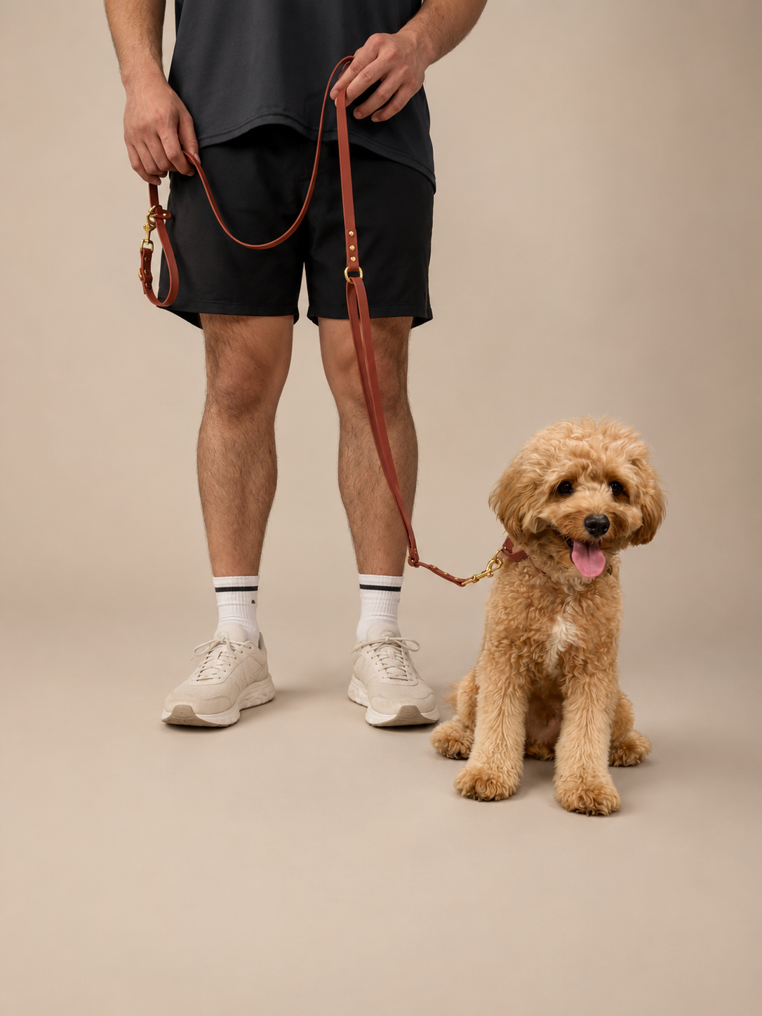 Flow Convertible Leash
