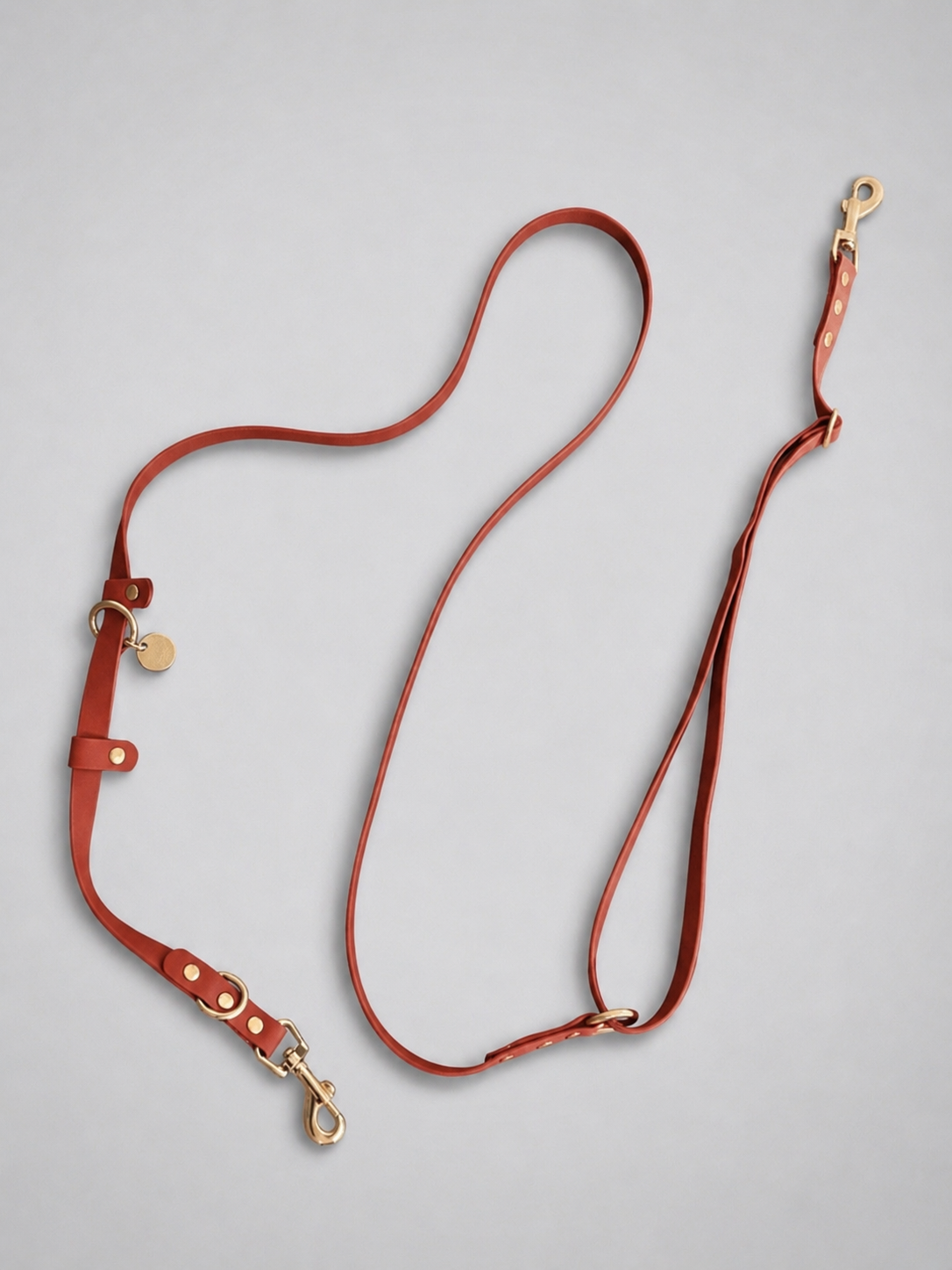 Flow Convertible Leash