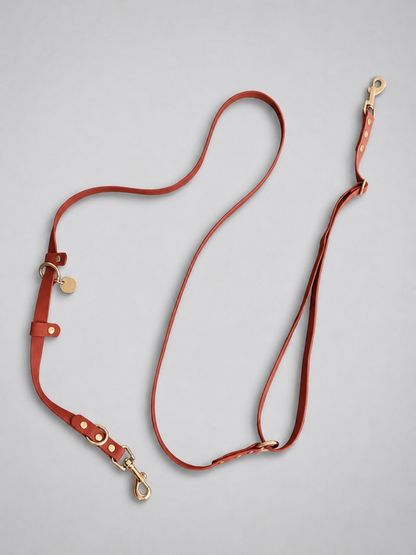Flow Convertible Leash