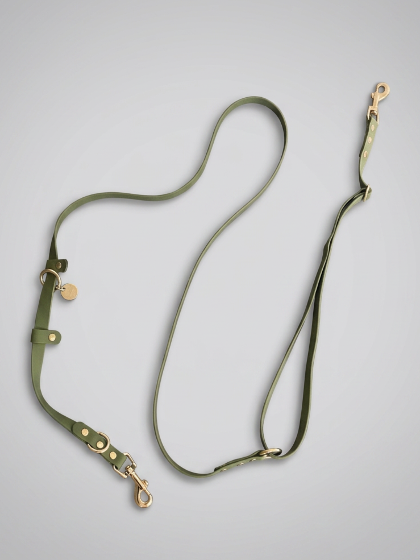 Flow Convertible Leash