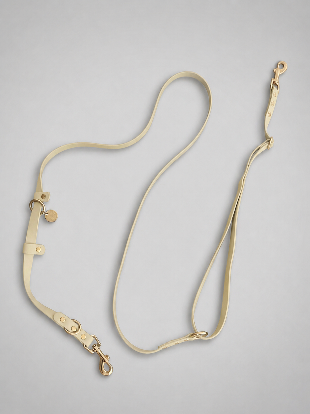 Flow Convertible Leash