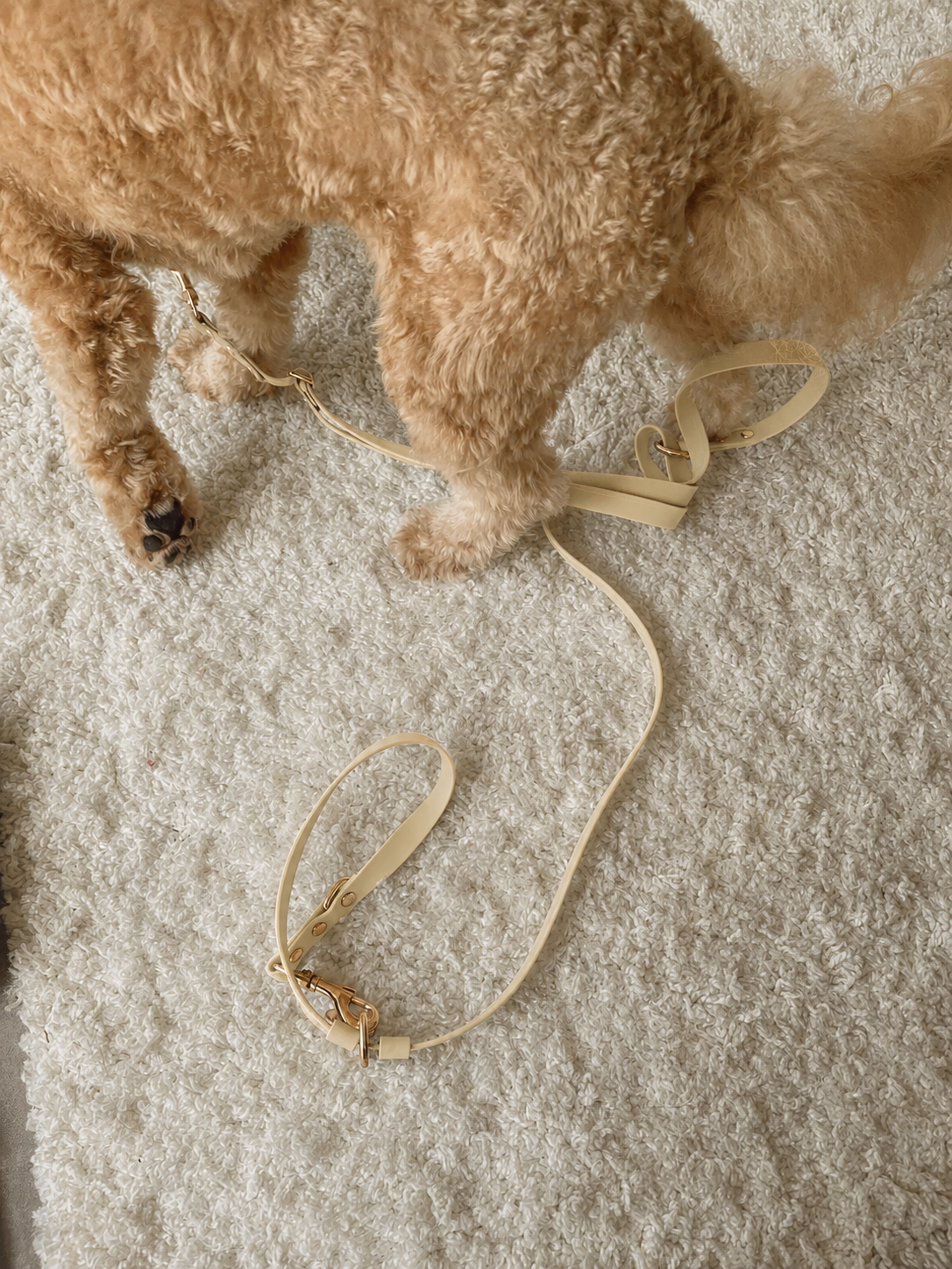 Flow Convertible Leash