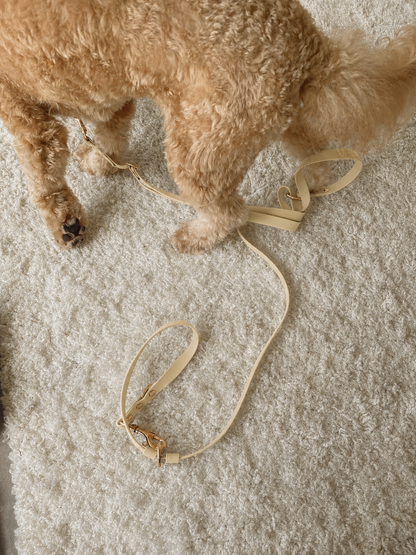 Flow Convertible Leash
